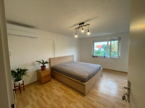 Sonnige 3 Zimmer Wohnung mit schönem Balkon im Grünen
